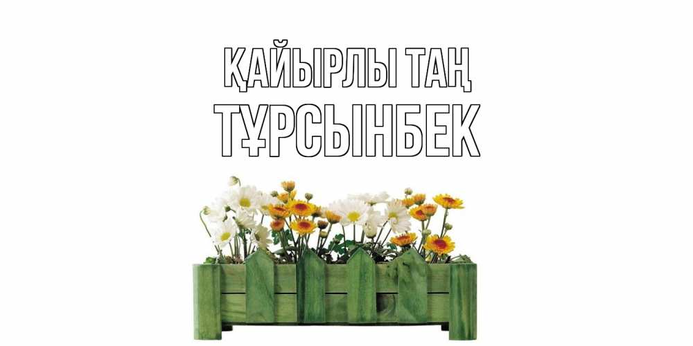 Күн сайын ашық хат с именем, ТҰРСЫНБЕК Қайырлы таң цветы Онлайн тегін жүктеп алу тілектері бар керемет карта 