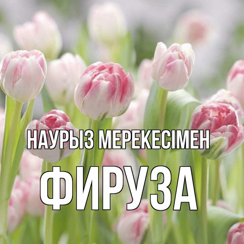 Күн сайын ашық хат с именем, ФИРУЗА Наурыз мерекесімен цветы Онлайн тегін жүктеп алу тілектері бар керемет карта 