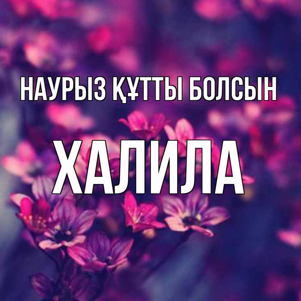 Күн сайын ашық хат с именем, ХАЛИЛА Наурыз құтты болсын небольшие цветы 1 Онлайн тегін жүктеп алу тілектері бар керемет карта 