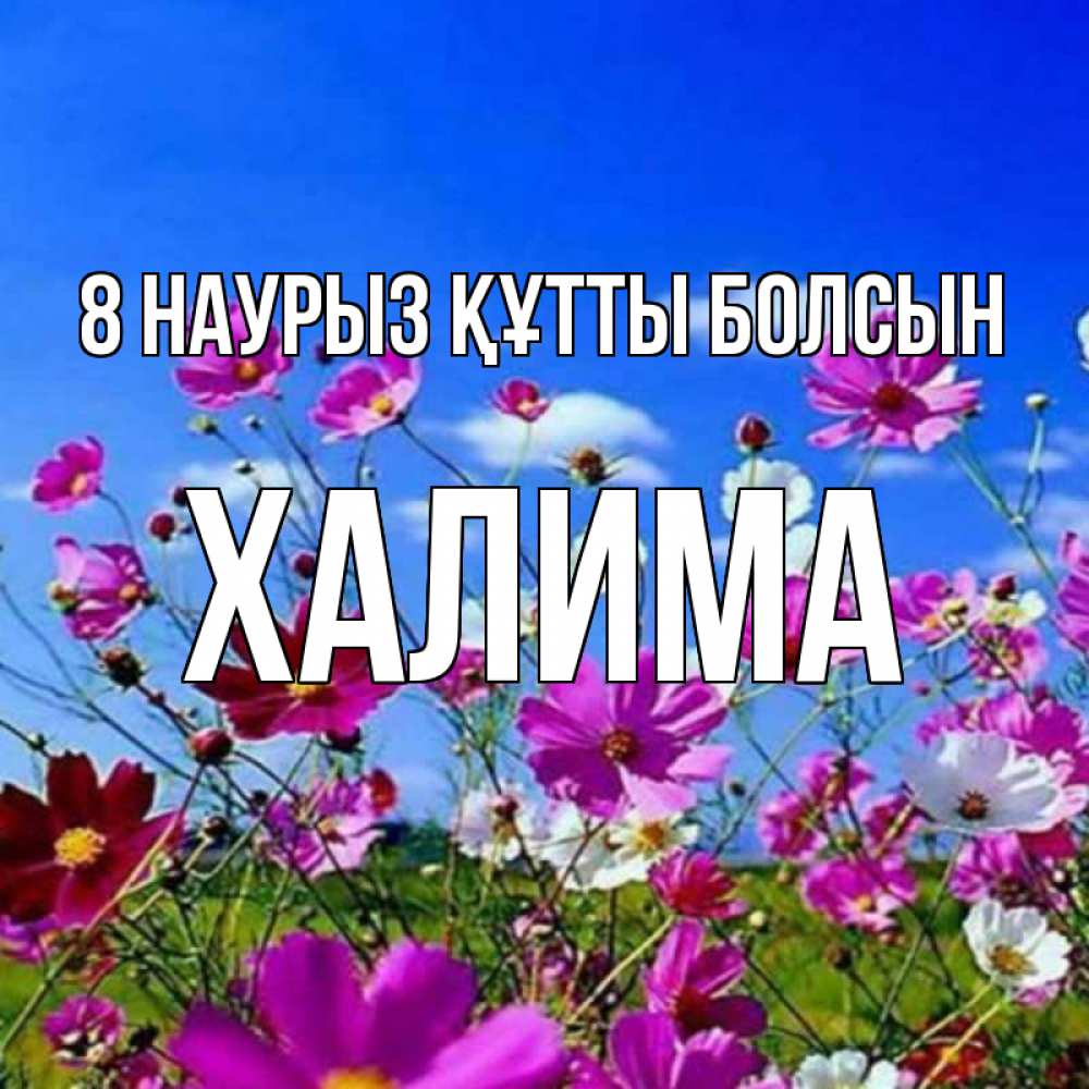Күн сайын ашық хат с именем, ХАЛИМА 8 наурыз құтты болсын цветы Онлайн тегін жүктеп алу тілектері бар керемет карта 
