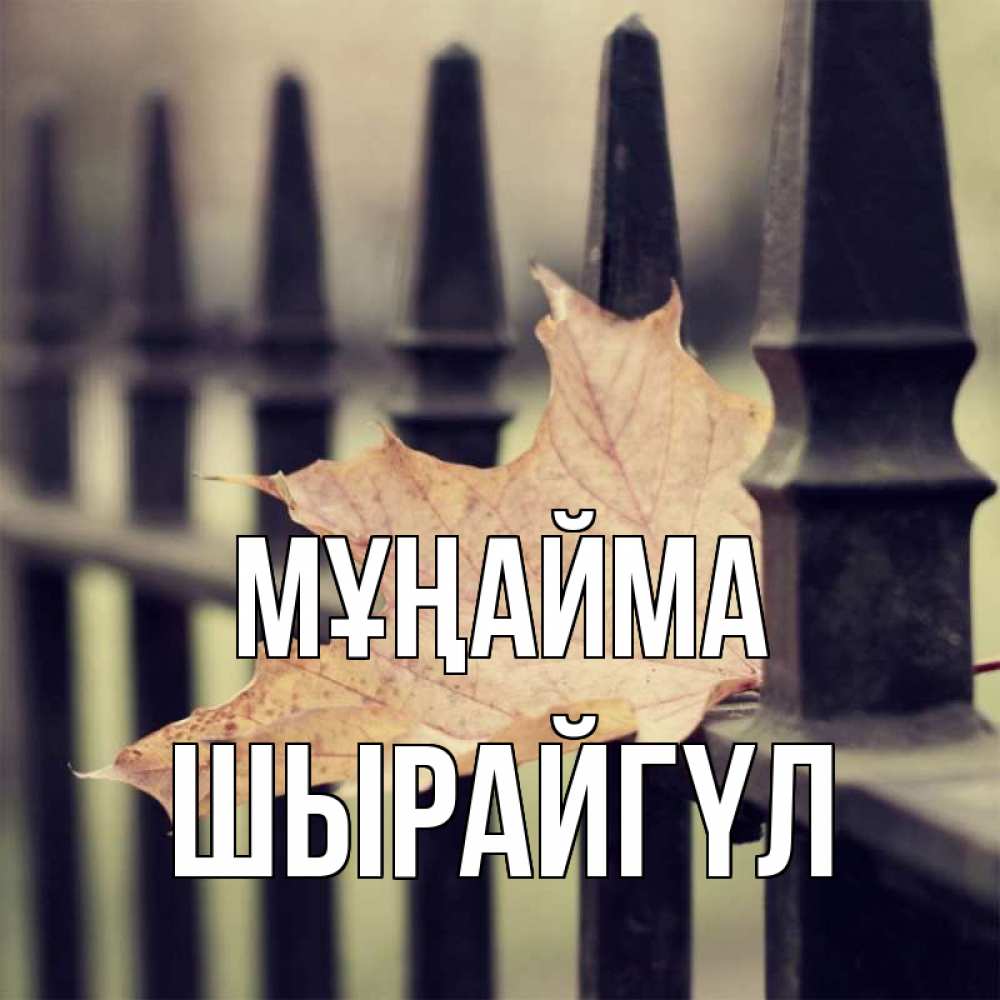 Күн сайын ашық хат с именем, ШЫРАЙГҮЛ Мұңайма лист клена Онлайн тегін жүктеп алу тілектері бар керемет карта 