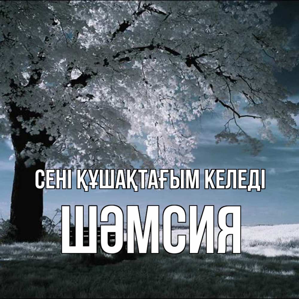 Күн сайын ашық хат с именем, ШӘМСИЯ сені құшақтағым келеді дерево Онлайн тегін жүктеп алу тілектері бар керемет карта 