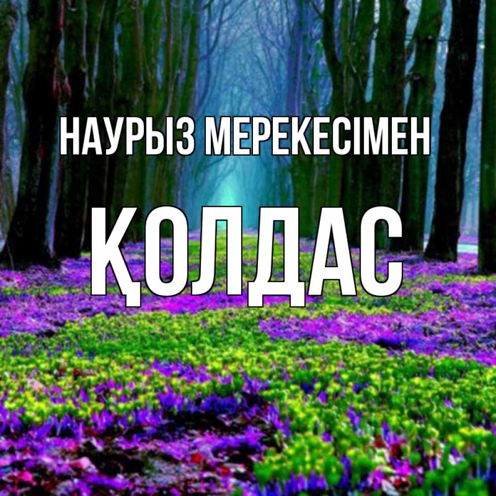 Күн сайын ашық хат с именем, Қолдас Наурыз мерекесімен фиолетовые цветы в лесу 1 Онлайн тегін жүктеп алу тілектері бар керемет карта 