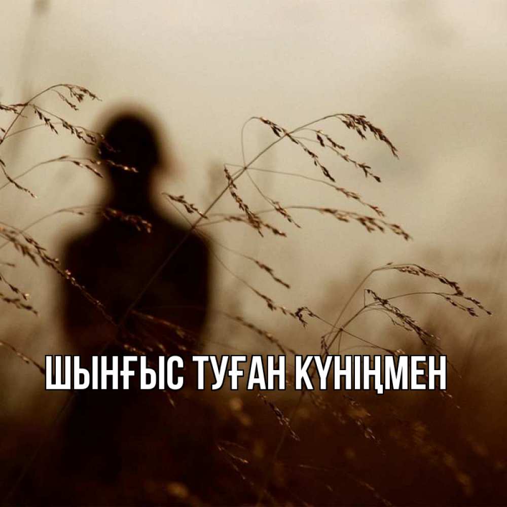 Картинка  с именем , ШЫНҒЫС! ТУҒАН КҮНІҢМЕН!