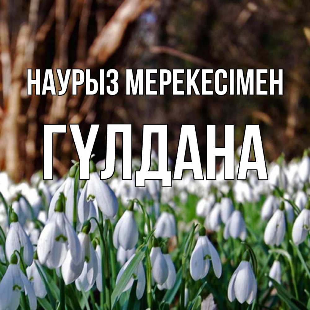 Күн сайын ашық хат с именем, ГҮЛДАНА Наурыз мерекесімен с подснежниками 1 Онлайн тегін жүктеп алу тілектері бар керемет карта 