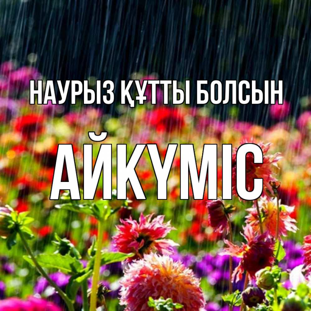 Күн сайын ашық хат с именем, АЙКҮМІС Наурыз құтты болсын цветы под дождиком к наурызу Онлайн тегін жүктеп алу тілектері бар керемет карта 