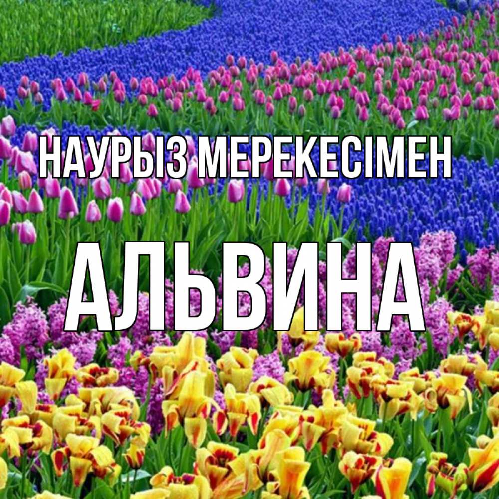 Күн сайын ашық хат с именем, Альвина Наурыз мерекесімен цветы Онлайн тегін жүктеп алу тілектері бар керемет карта 
