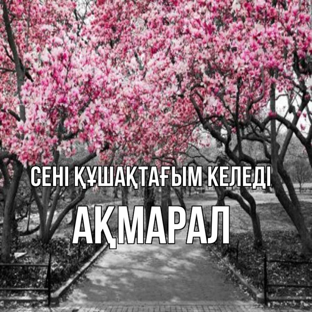Күн сайын ашық хат с именем, АҚМАРАЛ сені құшақтағым келеді обработанное фото Онлайн тегін жүктеп алу тілектері бар керемет карта 