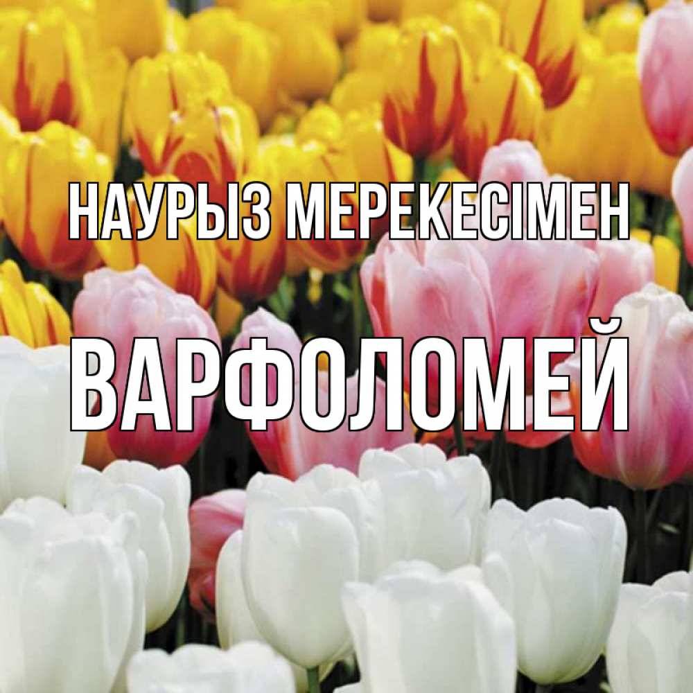 Күн сайын ашық хат с именем, Варфоломей Наурыз мерекесімен разноцветные цветы Онлайн тегін жүктеп алу тілектері бар керемет карта 