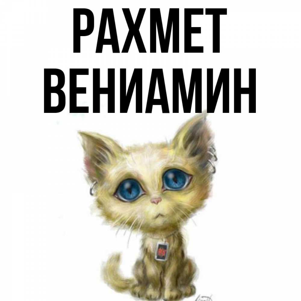 Күн сайын ашық хат с именем, Вениамин рахмет рисованный кот благодарит вас Онлайн тегін жүктеп алу тілектері бар керемет карта 