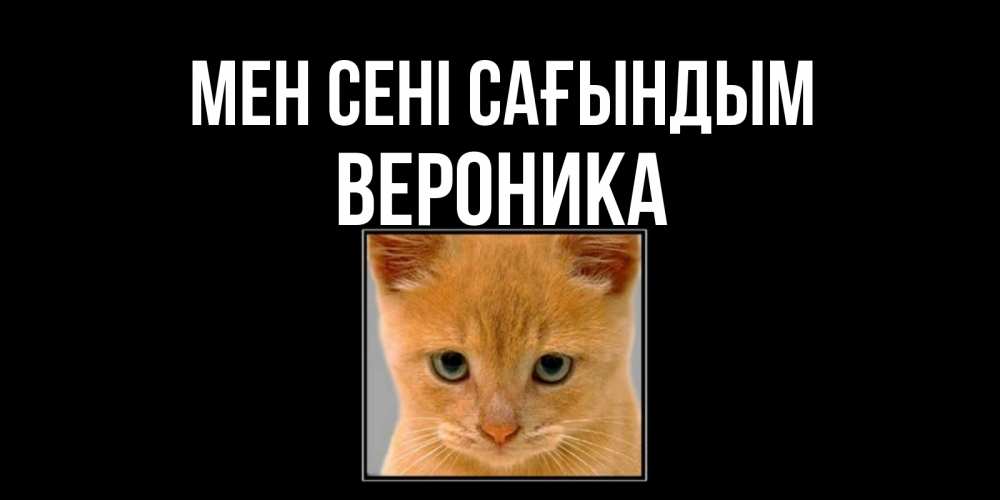 Күн сайын ашық хат с именем, Вероника Мен сені сағындым открытки рыжий котенок скучает по тебе Онлайн тегін жүктеп алу тілектері бар керемет карта 