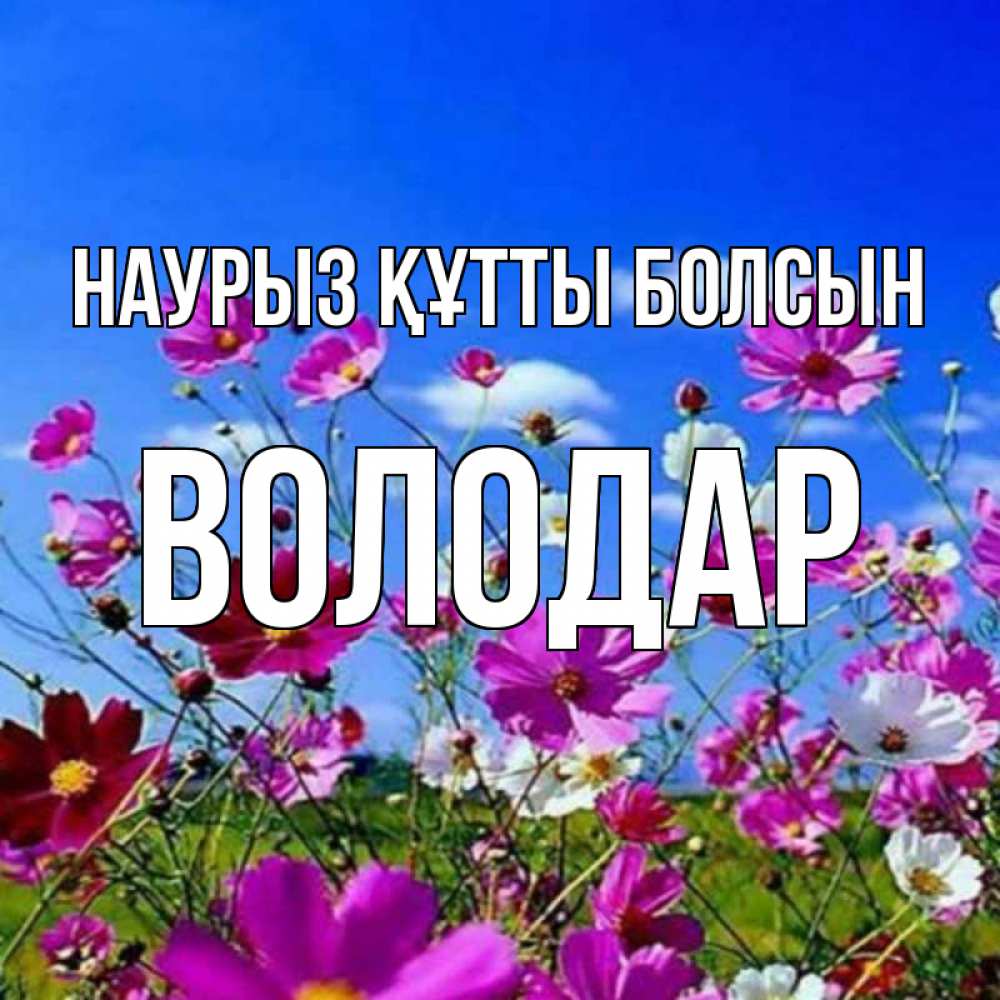 Күн сайын ашық хат с именем, Володар Наурыз құтты болсын цветы Онлайн тегін жүктеп алу тілектері бар керемет карта 