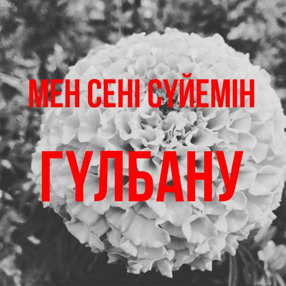 Күн сайын ашық хат с именем, ГҮЛБАНУ Мен сені сүйемін подпись Онлайн тегін жүктеп алу тілектері бар керемет карта 