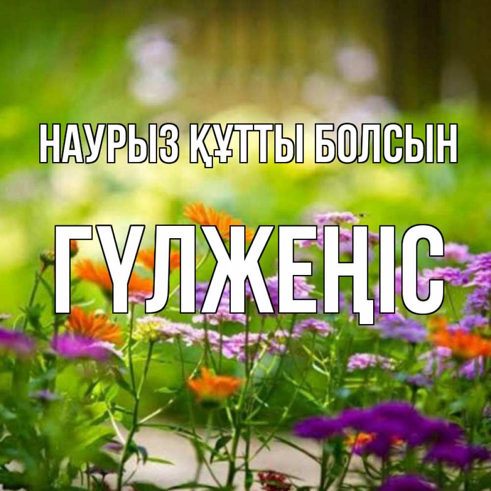 Күн сайын ашық хат с именем, ГҮЛЖЕҢІС Наурыз құтты болсын цветы Онлайн тегін жүктеп алу тілектері бар керемет карта 