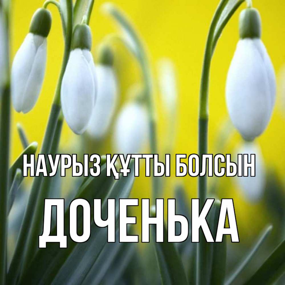 Күн сайын ашық хат с именем, Доченька Наурыз құтты болсын весенние цветы Онлайн тегін жүктеп алу тілектері бар керемет карта 