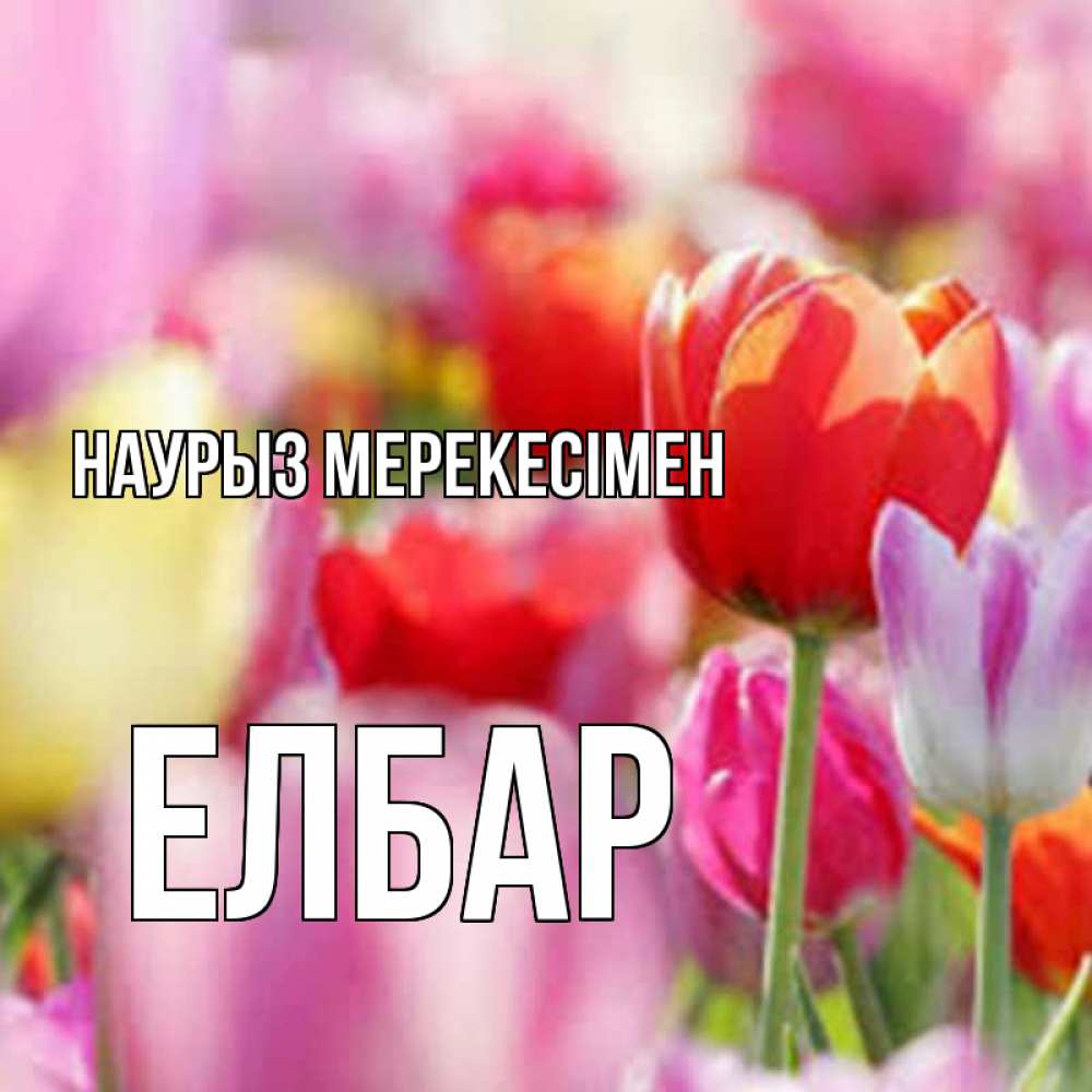 Күн сайын ашық хат с именем, Елбар Наурыз мерекесімен праздник весны наурыз 67 Онлайн тегін жүктеп алу тілектері бар керемет карта 