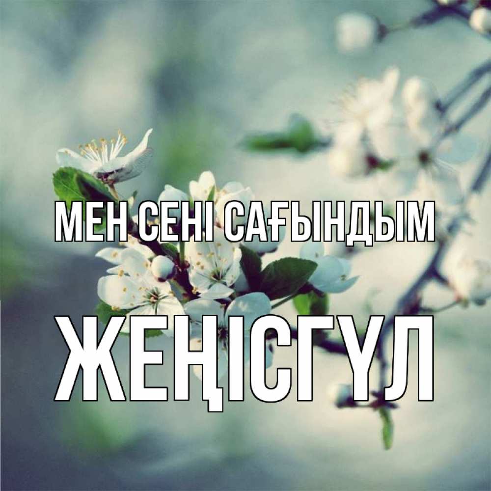 Күн сайын ашық хат с именем, ЖЕҢІСГҮЛ Мен сені сағындым весна Онлайн тегін жүктеп алу тілектері бар керемет карта 