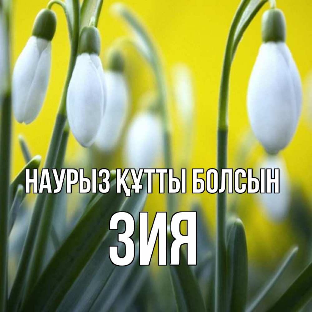 Күн сайын ашық хат с именем, ЗИЯ Наурыз құтты болсын весенние цветы Онлайн тегін жүктеп алу тілектері бар керемет карта 