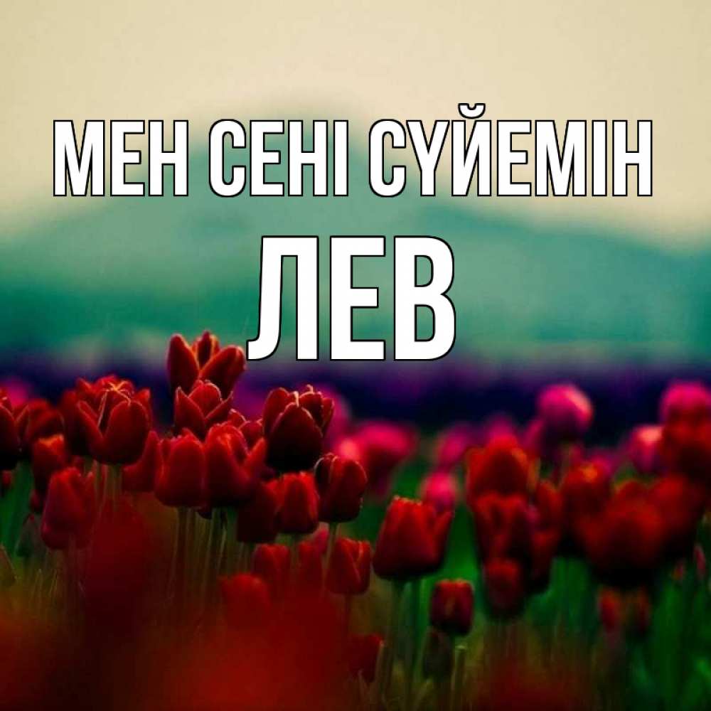 Күн сайын ашық хат с именем, Лев Мен сені сүйемін тюльпаны 4 Онлайн тегін жүктеп алу тілектері бар керемет карта 