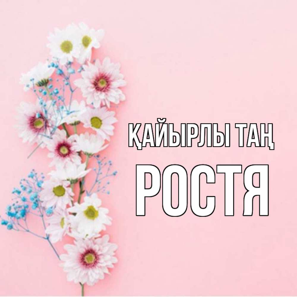 Күн сайын ашық хат с именем, Ростя Қайырлы таң цветы с подписью Онлайн тегін жүктеп алу тілектері бар керемет карта 