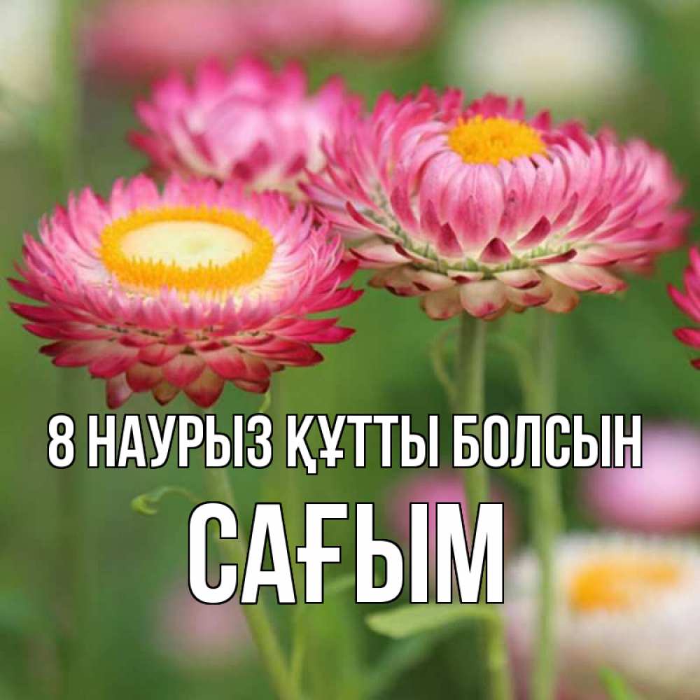 Күн сайын ашық хат с именем, САҒЫМ 8 наурыз құтты болсын подарок на международный женский день Онлайн тегін жүктеп алу тілектері бар керемет карта 