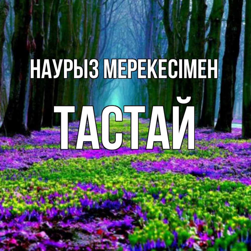 Күн сайын ашық хат с именем, ТАСТАЙ Наурыз мерекесімен фиолетовые цветы в лесу 1 Онлайн тегін жүктеп алу тілектері бар керемет карта 