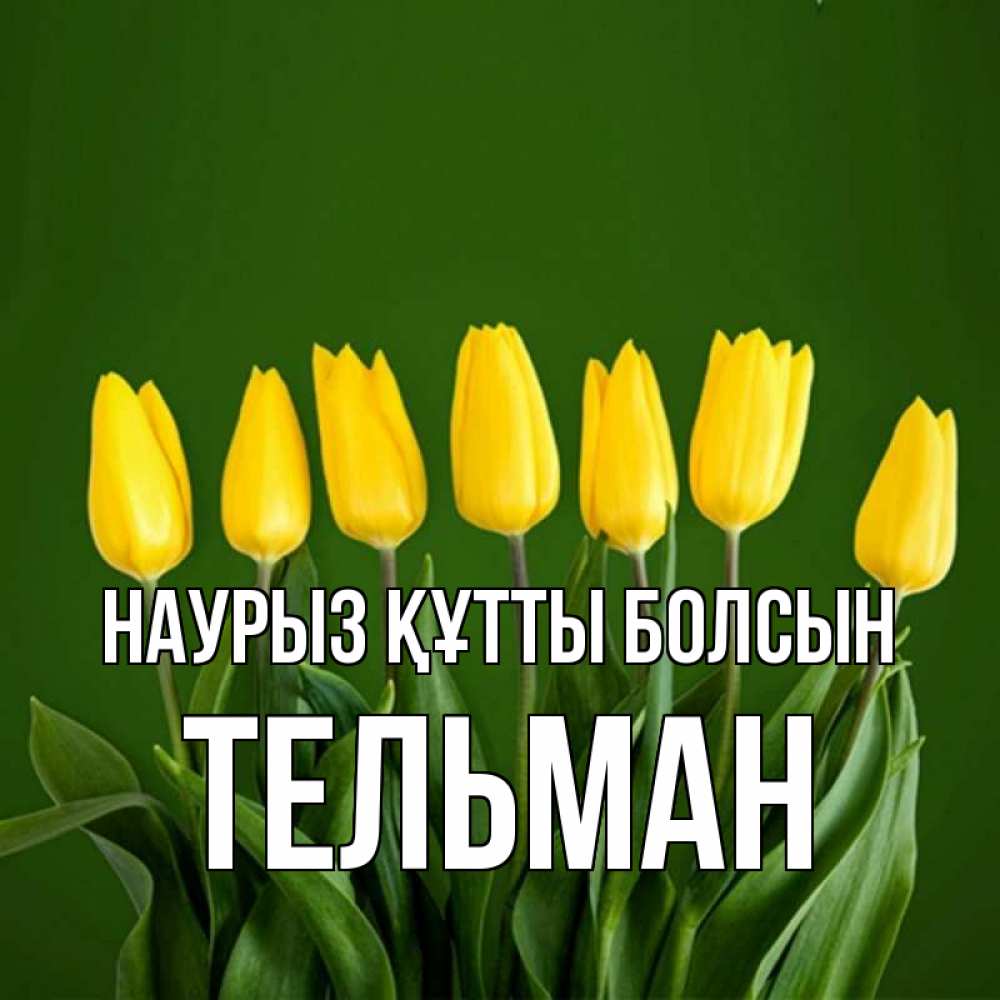 Күн сайын ашық хат с именем, Тельман Наурыз құтты болсын желтого цвета 3 Онлайн тегін жүктеп алу тілектері бар керемет карта 