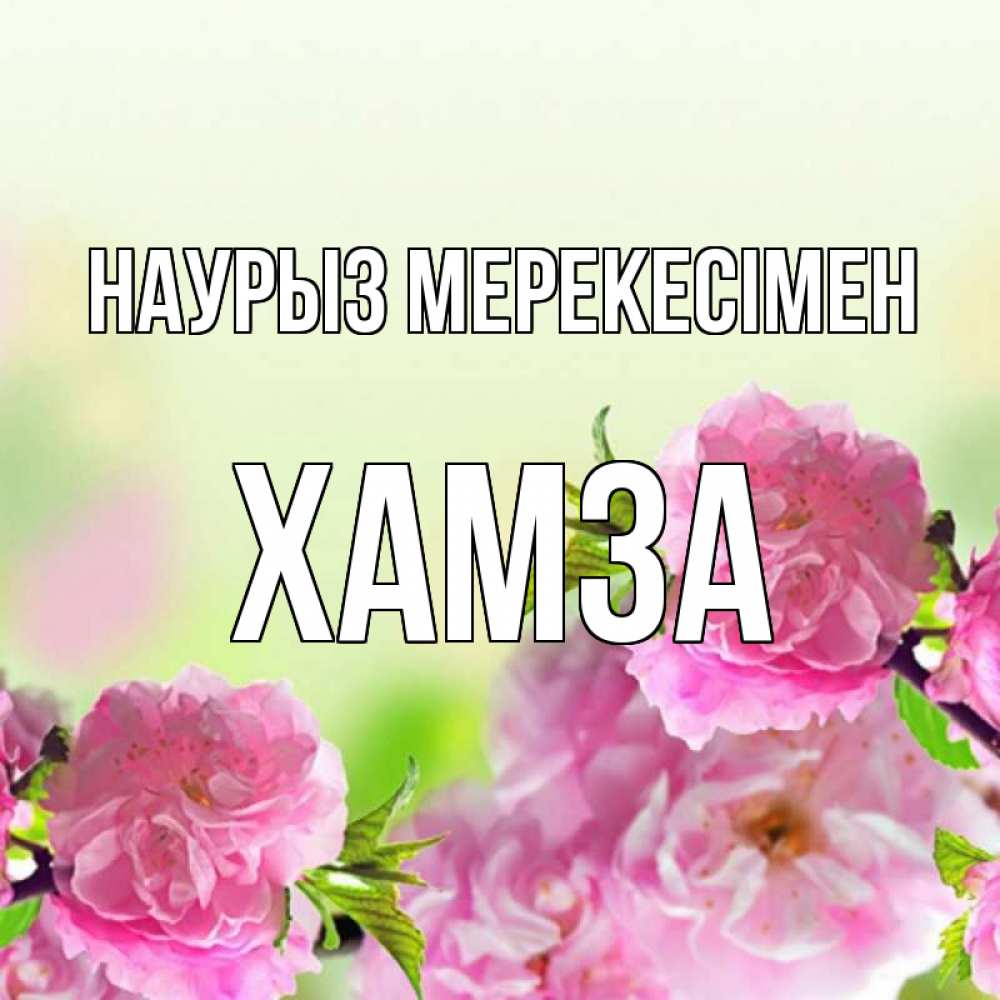 Күн сайын ашық хат с именем, ХАМЗА Наурыз мерекесімен цветы Онлайн тегін жүктеп алу тілектері бар керемет карта 