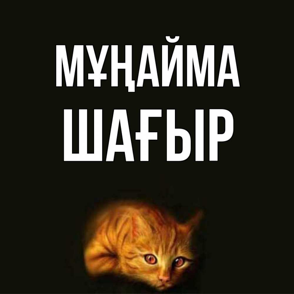 Күн сайын ашық хат с именем, ШАҒЫР Мұңайма лежащий кот в темноте Онлайн тегін жүктеп алу тілектері бар керемет карта 