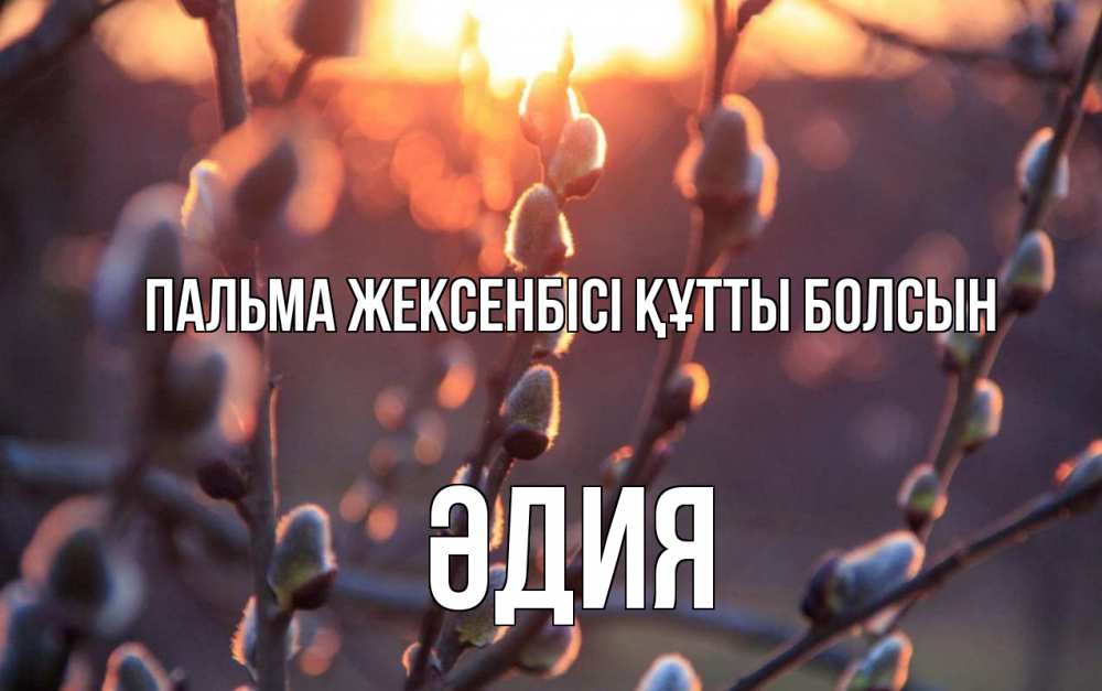 Картинка Пальма жексенбісі құтты болсын, ӘДИЯ