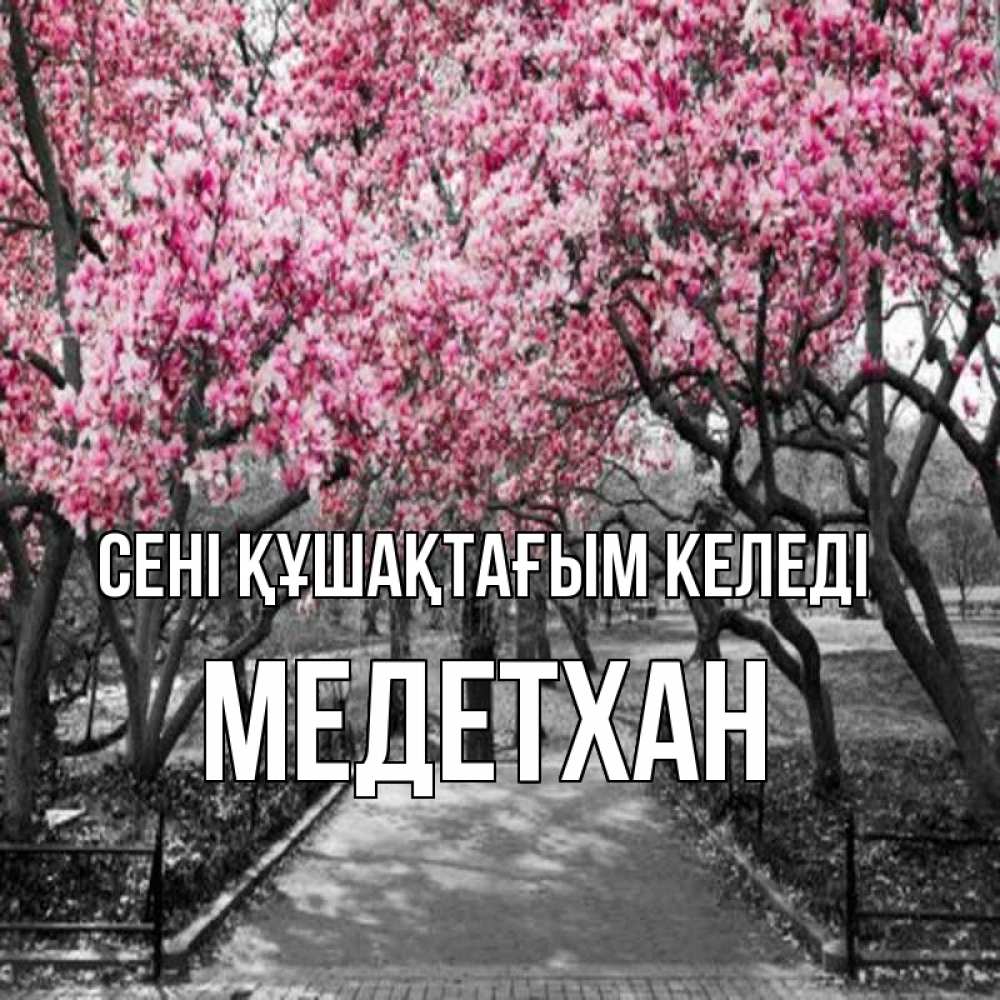 Күн сайын ашық хат с именем, МЕДЕТХАН сені құшақтағым келеді обработанное фото Онлайн тегін жүктеп алу тілектері бар керемет карта 