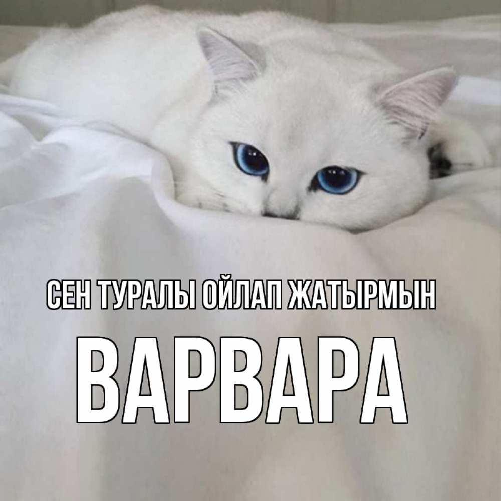 Күн сайын ашық хат с именем, Варвара Сен туралы ойлап жатырмын я очень по тебе скучаю и тоскую Онлайн тегін жүктеп алу тілектері бар керемет карта 