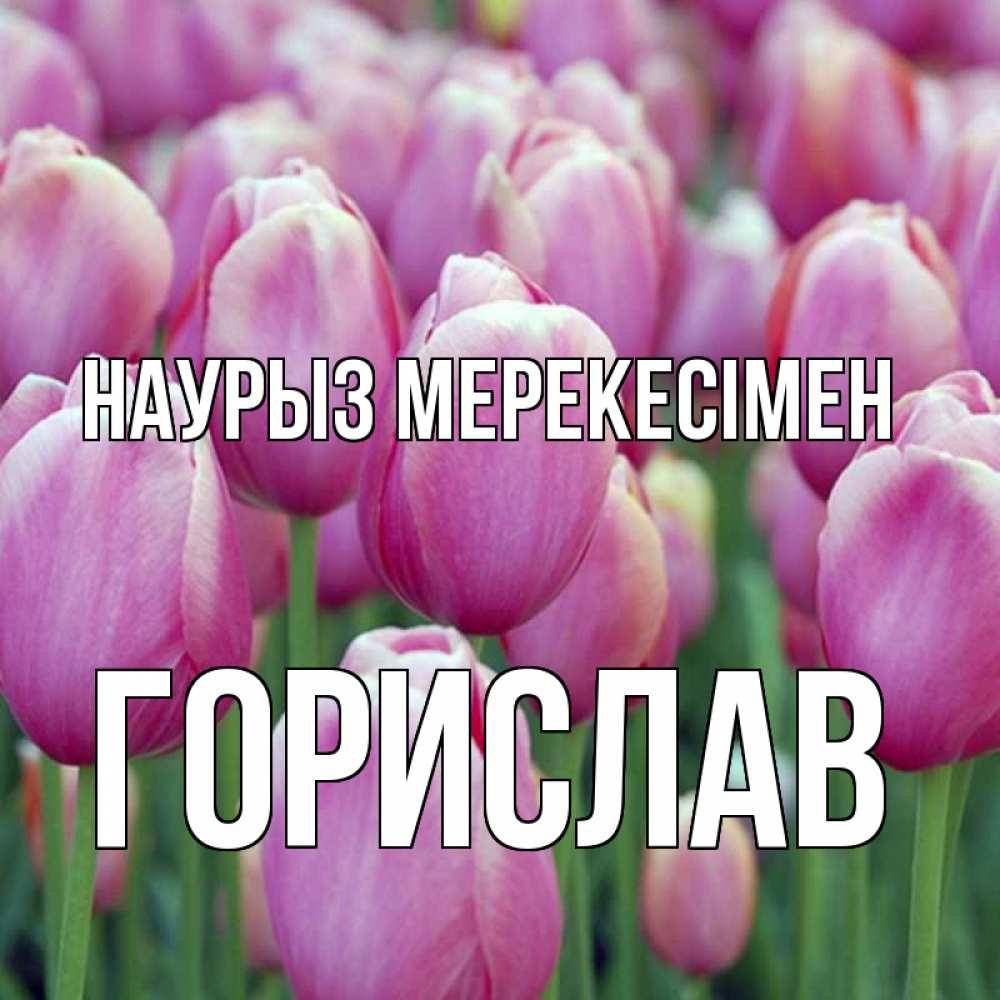 Күн сайын ашық хат с именем, Горислав Наурыз мерекесімен праздник весны наурыз 69 Онлайн тегін жүктеп алу тілектері бар керемет карта 