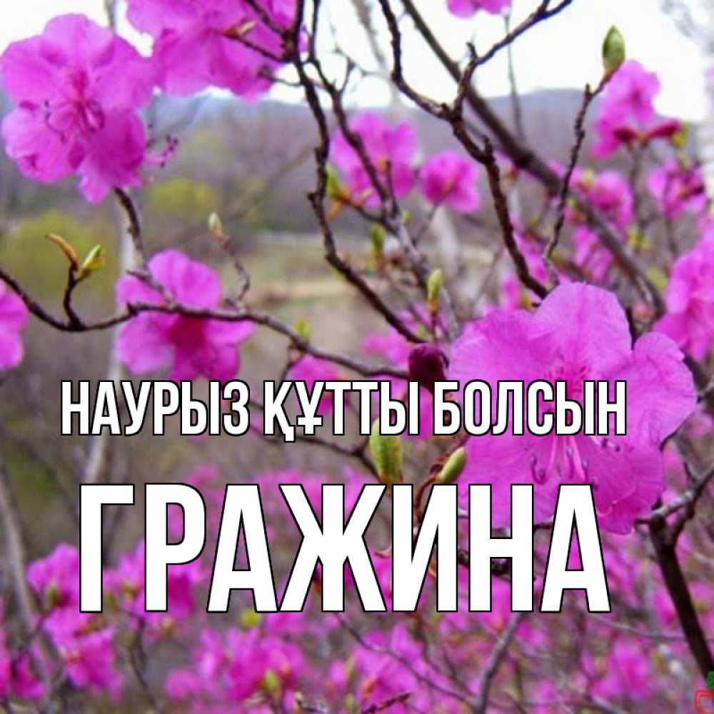 Күн сайын ашық хат с именем, Гражина Наурыз құтты болсын наурыз мейрамы кутты болсын Онлайн тегін жүктеп алу тілектері бар керемет карта 