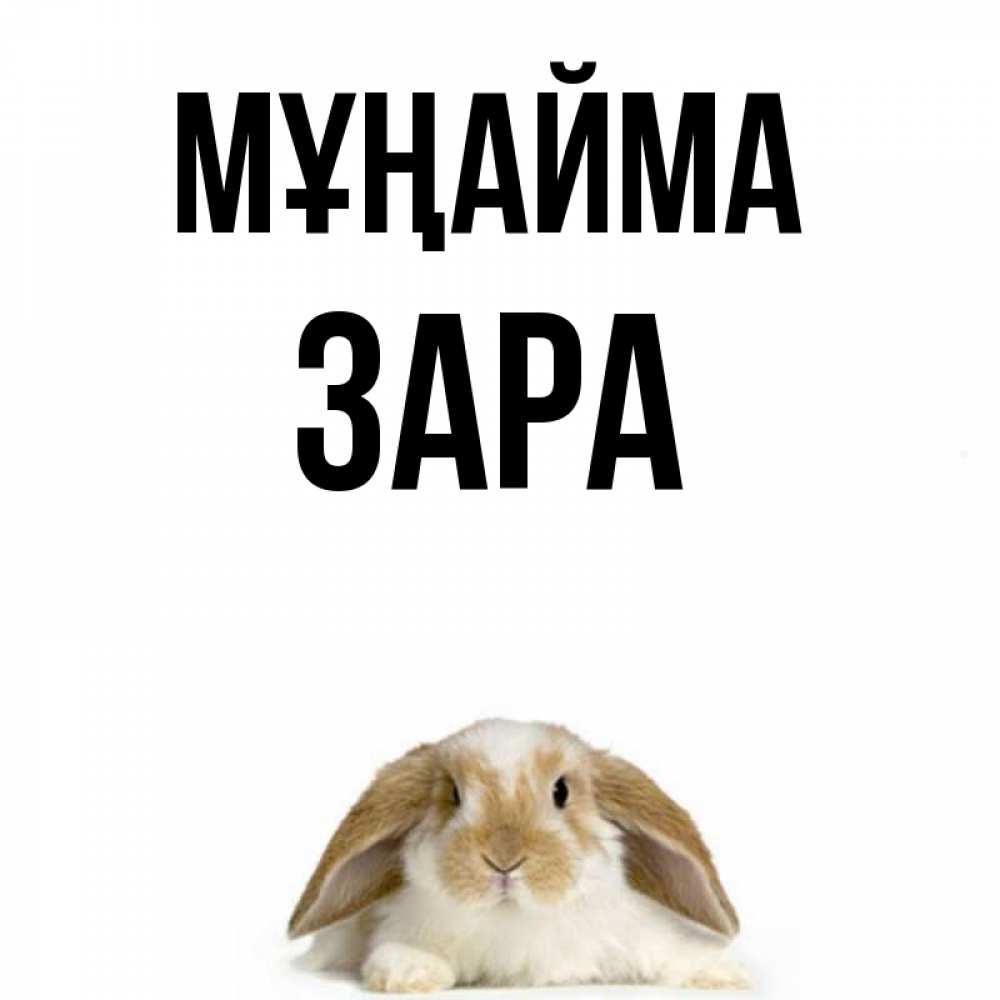 Күн сайын ашық хат с именем, ЗАРА Мұңайма коричнево белый заяц с большими ушками Онлайн тегін жүктеп алу тілектері бар керемет карта 