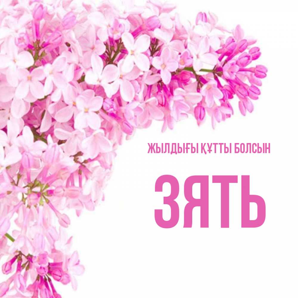 Күн сайын ашық хат с именем, Зять Жылдығы құтты болсын Сирень на белом фоне Онлайн тегін жүктеп алу тілектері бар керемет карта 
