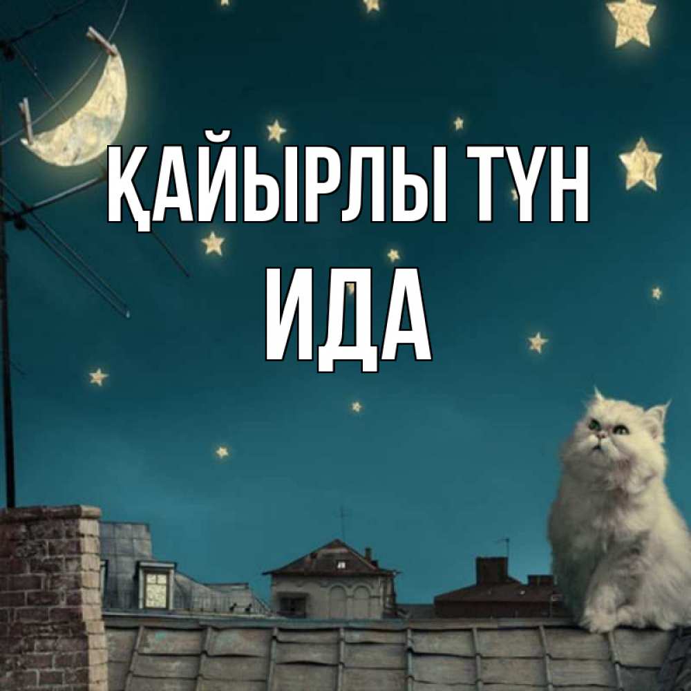 Күн сайын ашық хат с именем, Ида Қайырлы түн белый кот сидит на крыше Онлайн тегін жүктеп алу тілектері бар керемет карта 