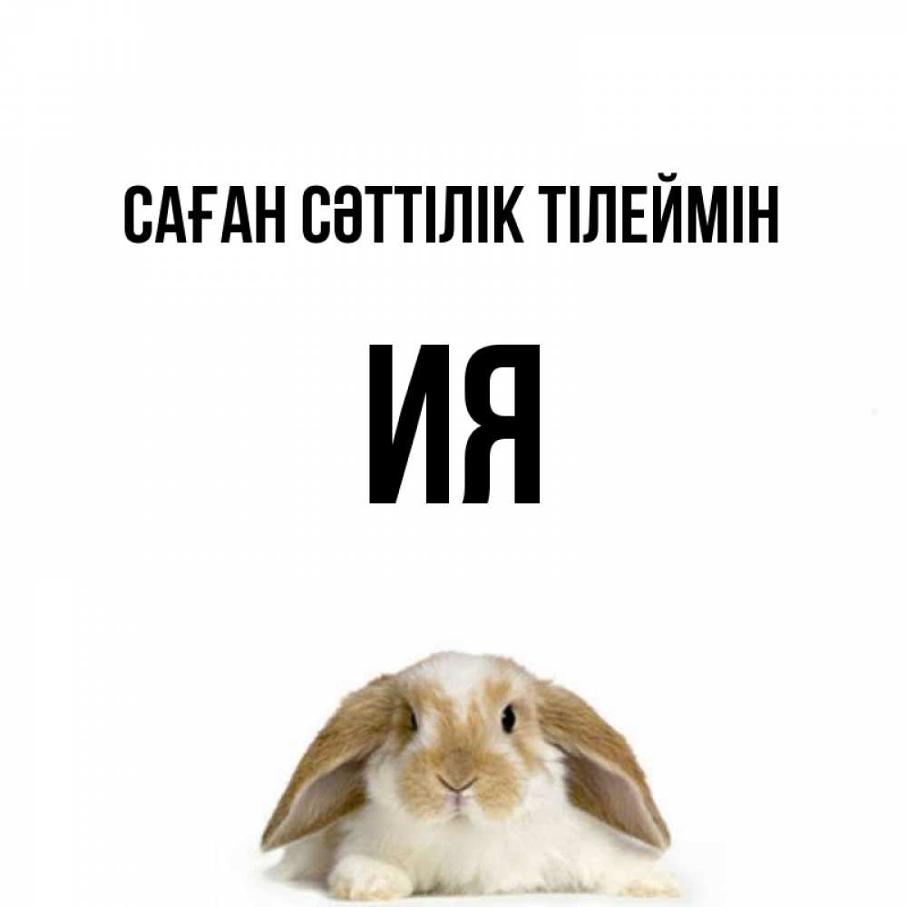 Күн сайын ашық хат с именем, Ия Саған сәттілік тілеймін открытки с произвольным текстом который можно вставить в открытку и создать ее самостоятельно бесплатно онлайн Онлайн тегін жүктеп алу тілектері бар керемет карта 