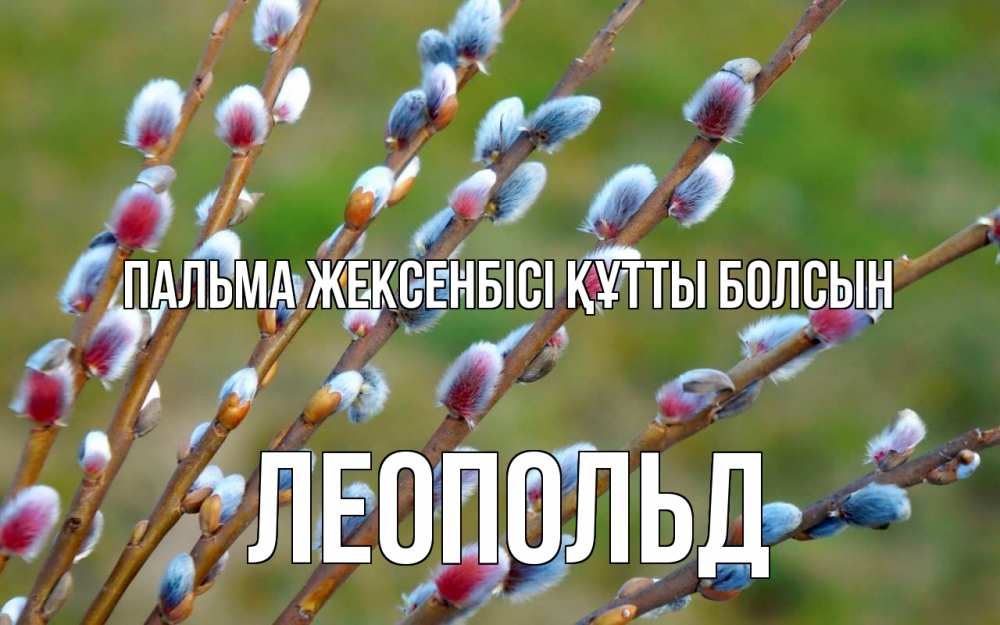 Күн сайын ашық хат с именем, Леопольд Пальма жексенбісі құтты болсын верба Онлайн тегін жүктеп алу тілектері бар керемет карта 