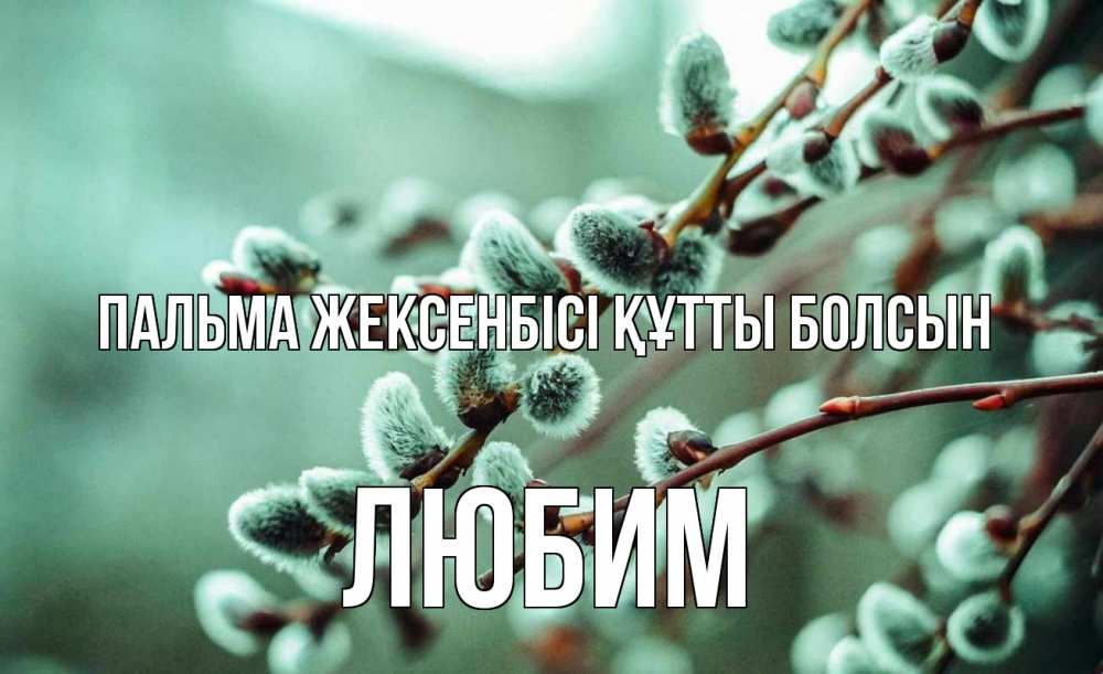 Күн сайын ашық хат с именем, Любим Пальма жексенбісі құтты болсын верба Онлайн тегін жүктеп алу тілектері бар керемет карта 