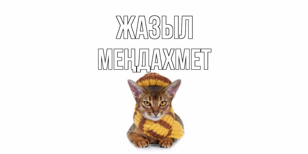 Күн сайын ашық хат с именем, МЕҢДАХМЕТ Жазыл родные не болейте Онлайн тегін жүктеп алу тілектері бар керемет карта 