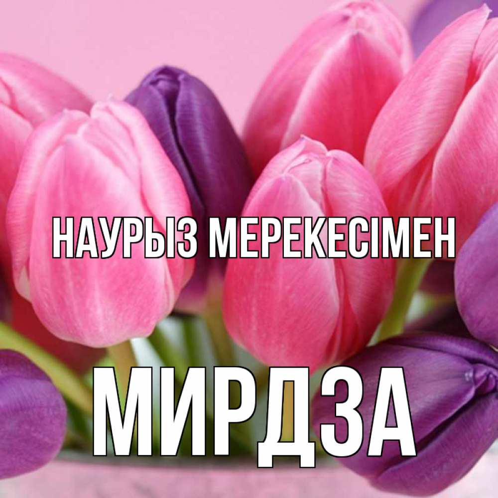 Күн сайын ашық хат с именем, Мирдза Наурыз мерекесімен маме 1 Онлайн тегін жүктеп алу тілектері бар керемет карта 