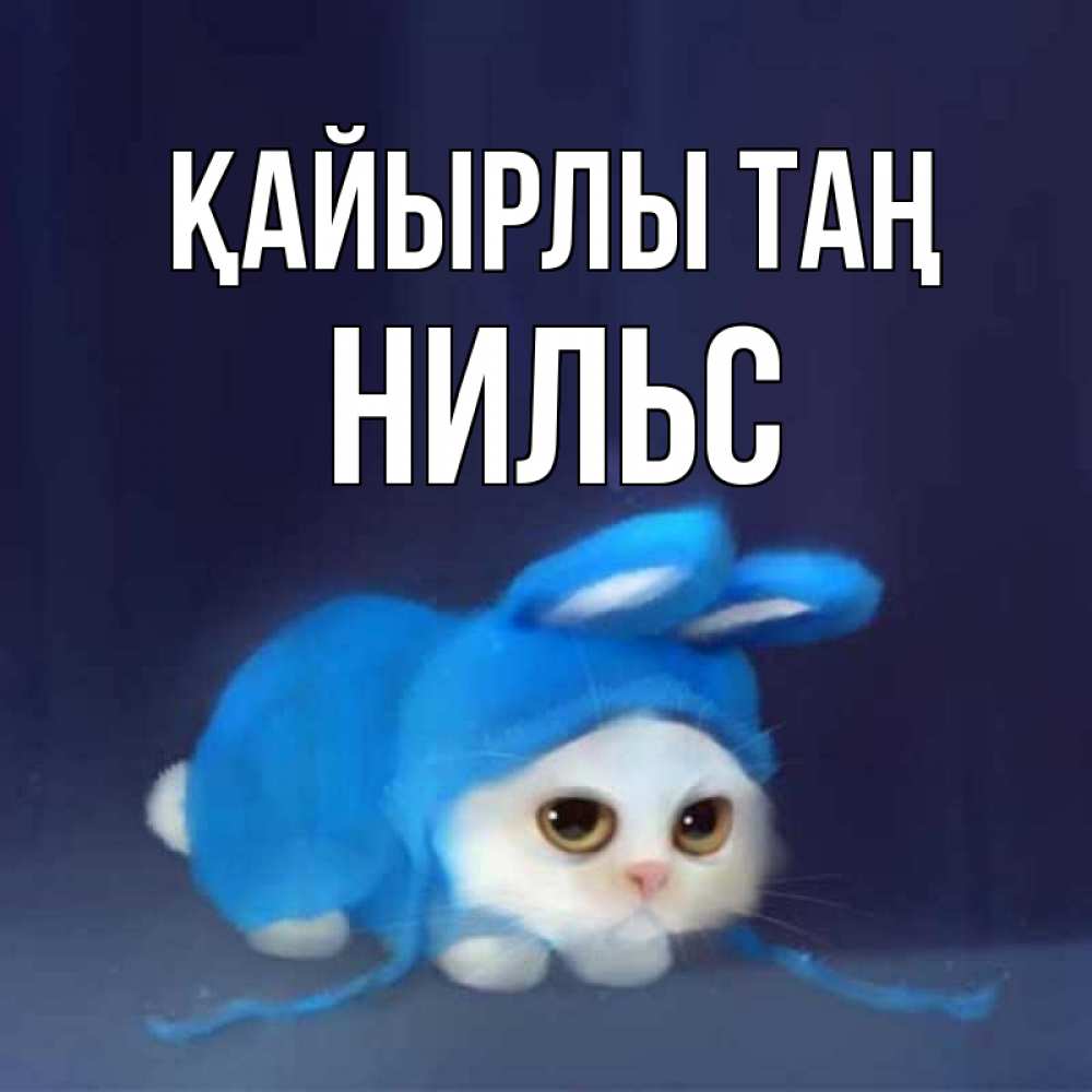 Күн сайын ашық хат с именем, Нильс Қайырлы таң открытки красивые скачать бесплатно Онлайн тегін жүктеп алу тілектері бар керемет карта 