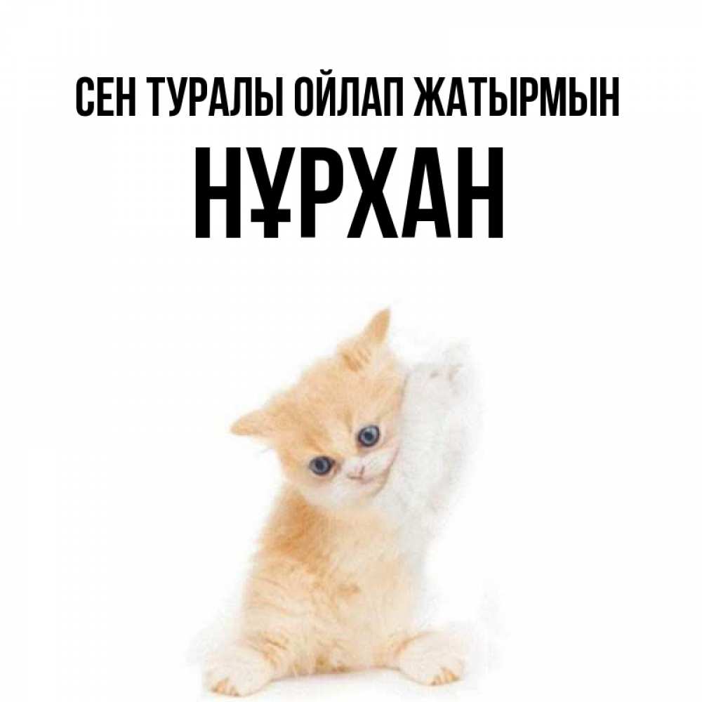 Күн сайын ашық хат с именем, НҰРХАН Сен туралы ойлап жатырмын зверушки и милота Онлайн тегін жүктеп алу тілектері бар керемет карта 
