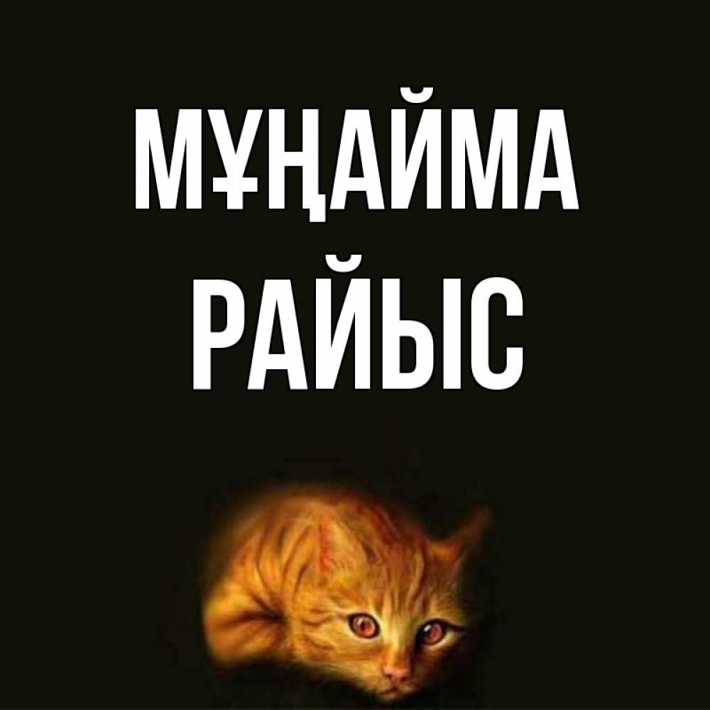 Күн сайын ашық хат с именем, РАЙЫС Мұңайма лежащий кот в темноте Онлайн тегін жүктеп алу тілектері бар керемет карта 