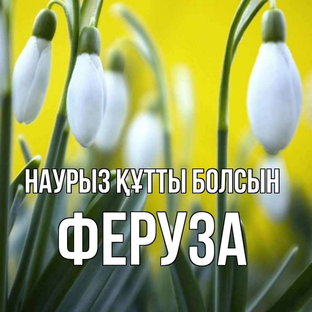 Күн сайын ашық хат с именем, Феруза Наурыз құтты болсын весенние цветы Онлайн тегін жүктеп алу тілектері бар керемет карта 