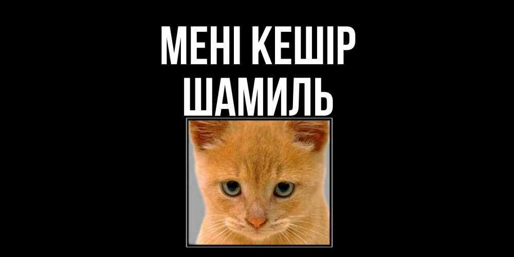 Күн сайын ашық хат с именем, Шамиль Мені кешір рыжий грустный кот просит прощения Онлайн тегін жүктеп алу тілектері бар керемет карта 
