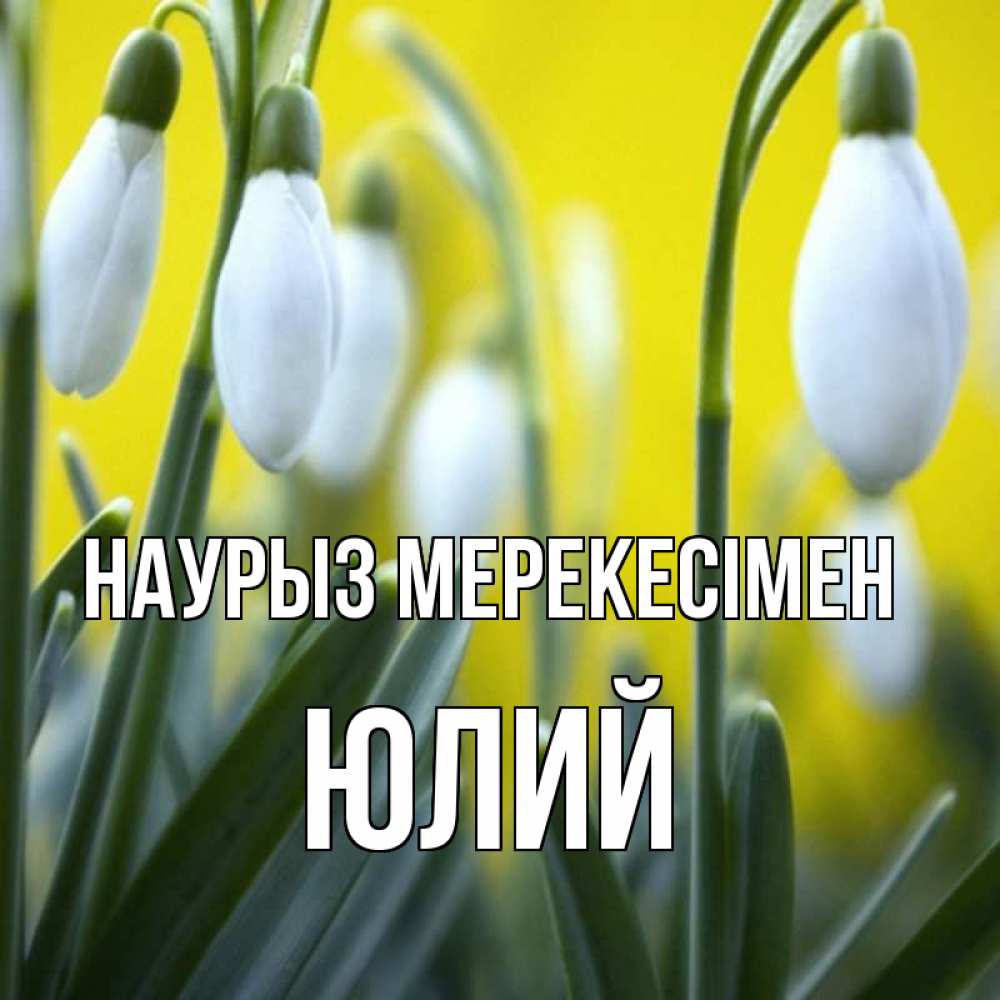 Күн сайын ашық хат с именем, Юлий Наурыз мерекесімен весенние цветы Онлайн тегін жүктеп алу тілектері бар керемет карта 