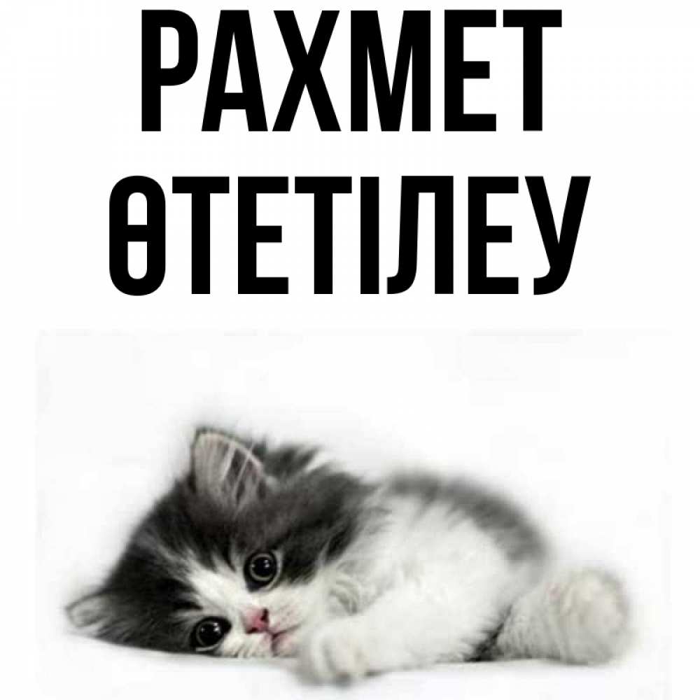 Күн сайын ашық хат с именем, ӨТЕТІЛЕУ рахмет черный и белый кот Онлайн тегін жүктеп алу тілектері бар керемет карта 