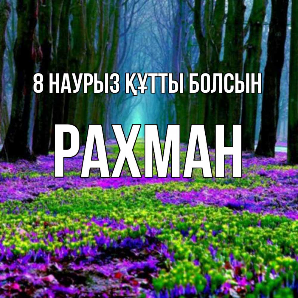 Күн сайын ашық хат с именем, РАХМАН 8 наурыз құтты болсын фиолетовые цветы в лесу 1 Онлайн тегін жүктеп алу тілектері бар керемет карта 